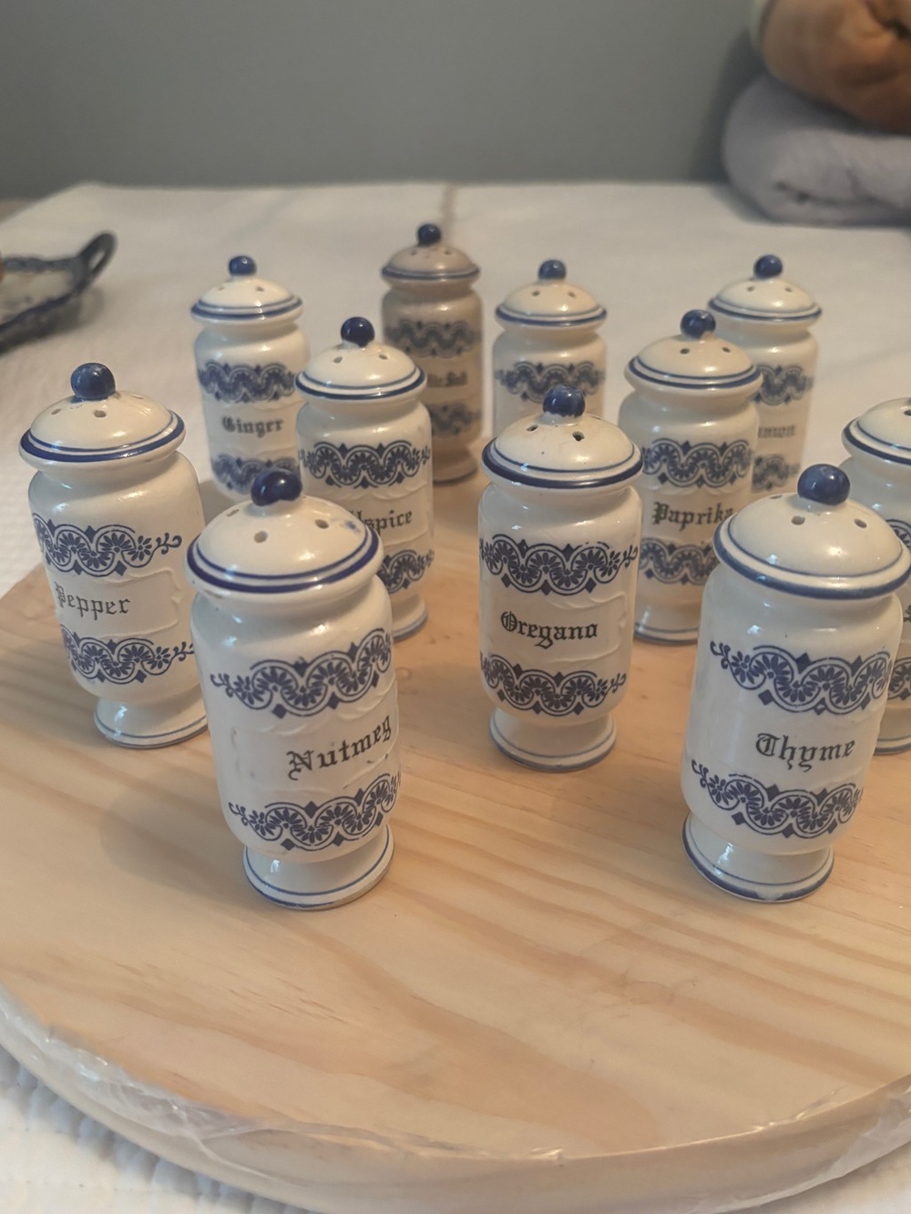 Vintage Blue Onion style ceramic spice shakers. Set of 11.